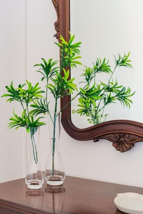Myninho Villa Vila Nova de Gaia Ngoại thất bức ảnh