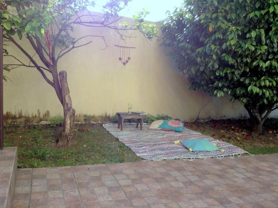 Myninho Villa Vila Nova de Gaia Ngoại thất bức ảnh
